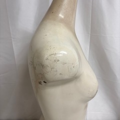 レディース トルソー マネキン 上半身 卓上 の画像