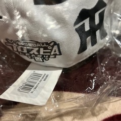 プロ野球12球団/プロピスキャップ/2セットの画像