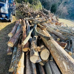 薪　薪の原木　薪の玉切り
の画像