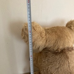 コアラ 置物 ぬいぐるみの画像