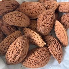 🟣アーモンドのタネの画像