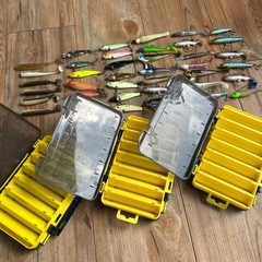 ルアー多数とケース3個の画像