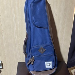 エレクトリック・ウクレレ/エレウク の画像