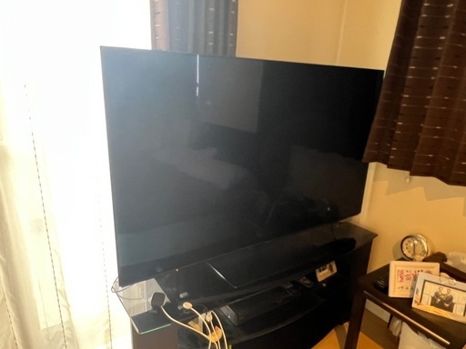 　テレビ　ビエラ TH-55GZ1000