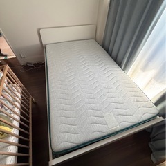 急募‼️コアラマットレス　セミダブルベッドの画像