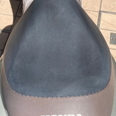 原付バイク ホンダ　cesta 50cc チェスタの画像