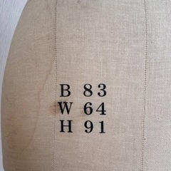 文化服装　トルソー1体の画像