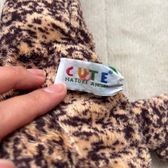 【美品❗️オオサンショウウオ】の画像