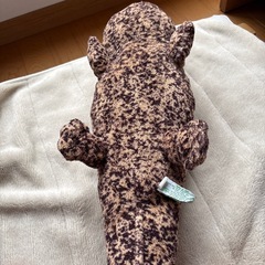 【美品❗️オオサンショウウオ】の画像