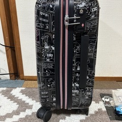 再投稿
SNOOPYキャリーケースの画像