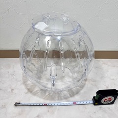 [未使用品]ペット用運動ボール&いちごハウスの画像