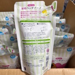 ぐんまちゃん　薬用ハンドソープ（液体タイプ）の画像