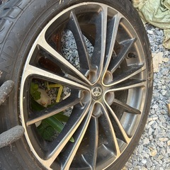 zn6  純正17インチホイールの画像