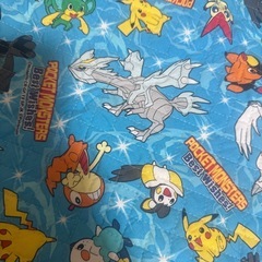 ポケモン生地の画像