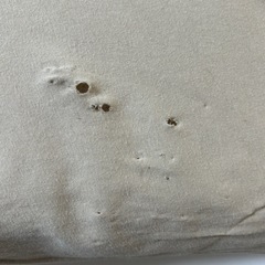 ブレインスリープピローの画像