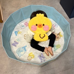 すみっコぐらし あつまるんです プレイサークルの画像