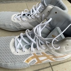 ボクシングシューズの画像