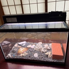 水槽セットAの画像