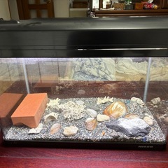 水槽セットAの画像