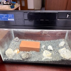 水槽セットBの画像