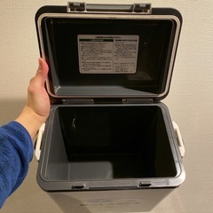 【無料・文京区引取】3/26まで クーラーボックス 8L（サンイデア ギャラシー）の画像