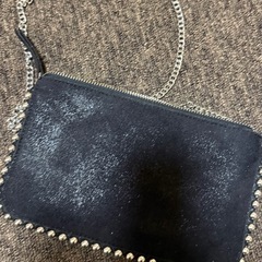 ZARAカバンの画像