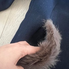 未使用に近い　リランドチュール　　コートの画像