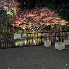 メンタル全国グル通