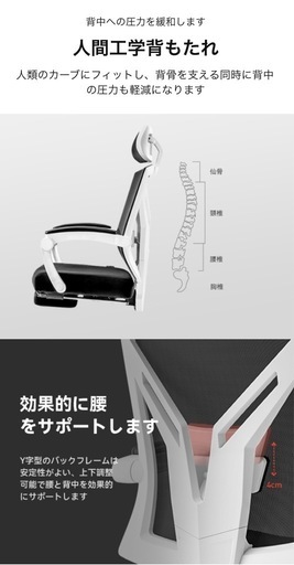 人間工学オフィスチェア HBaDa P311　腰サポート付き