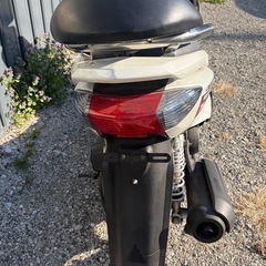 ヤマハ シグナスx
の画像