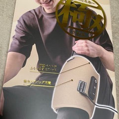 アルインコ ふっとえあー 極の画像