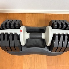 可変式ダンベル 2.5〜25kg ×2の画像