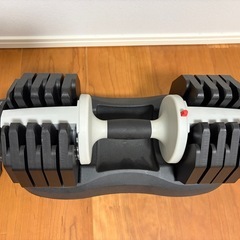 可変式ダンベル 2.5〜25kg ×2の画像