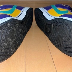 ナイキ ウィメンズ ダンク ロー"リサ レスリー" 25.5cmの画像