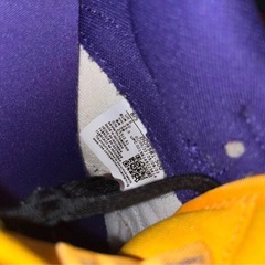 ナイキ ウィメンズ ダンク ロー"リサ レスリー" 25.5cmの画像