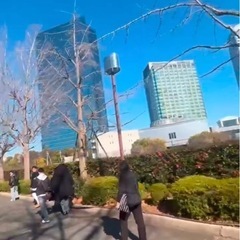 ウォーキングから健康に🚶