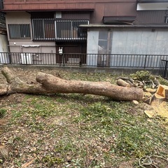 【経験者優遇】植木の手入れや、砂利敷きなど色々なことをお任せしたいです！の画像