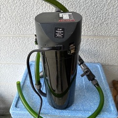  ① 30cmガラス水槽の画像