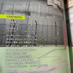 写真集　はじめしゃちょーの画像