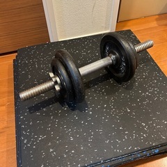 ワイルドフィット 可変式ダンベル10kgセット　アイロテック IROTEC ファイティングロード リーディングエッジの画像