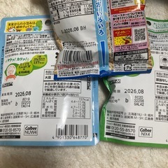 ガブリチュウ　お菓子の画像