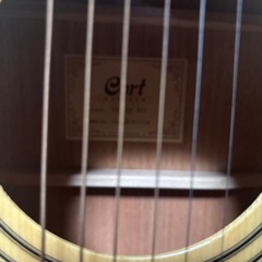 綺麗なギターですの画像