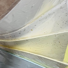 和紙　　の画像