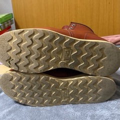 レッドウイング　アイリッシュセッター　の画像