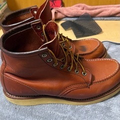 レッドウイング　アイリッシュセッター　の画像