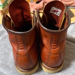 レッドウイング　アイリッシュセッター　の画像