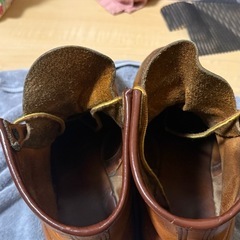 レッドウイング　アイリッシュセッター　の画像