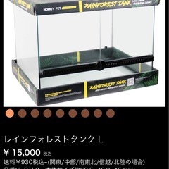 トカゲ　ケージの画像