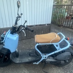 本田 ズーマー スペシャルエディションの画像