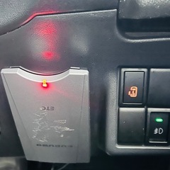 早いカチの画像